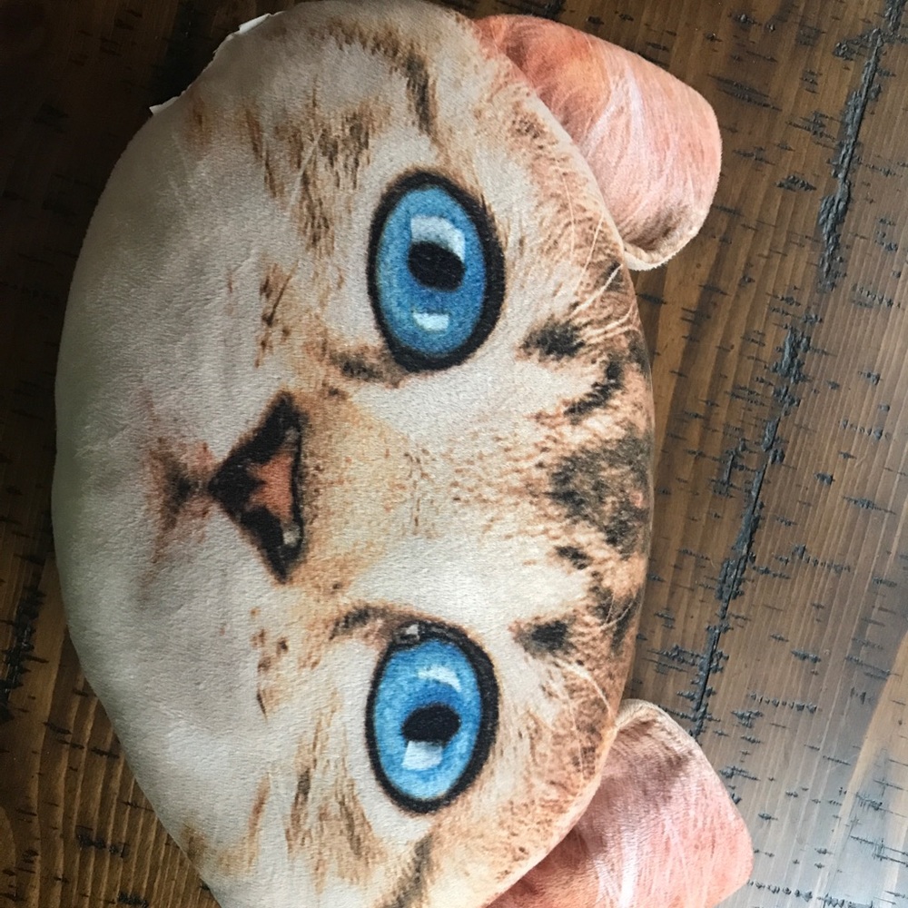 Cute Cat Face Pillow